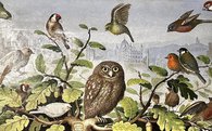 Visita guidata alla mostra 'Marcello Provenzale a Cento'